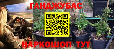 PSILOCYBIN Мариинск