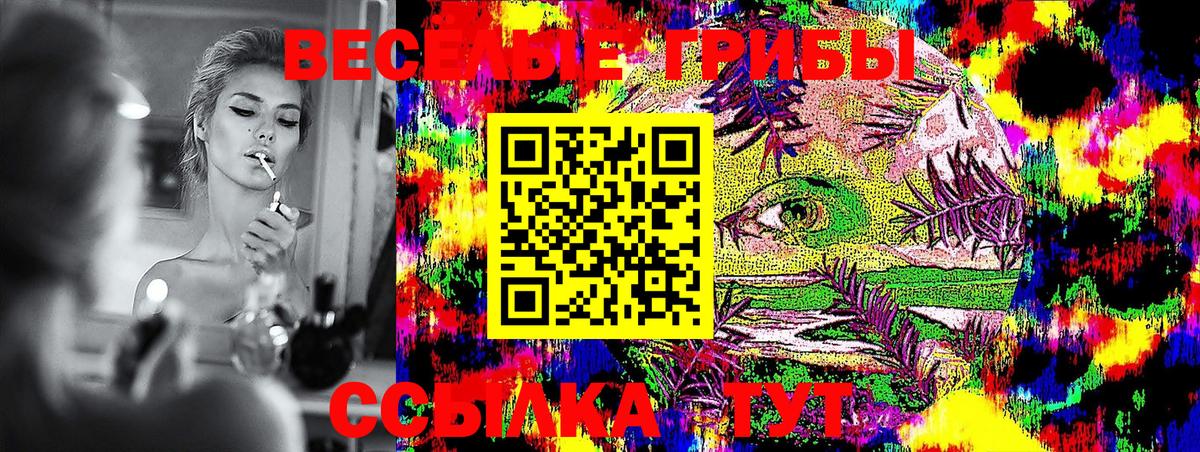 Чебоксары  даркнет сайт  Вход с VPN  Псилоцибиновые грибы прущие грибы 