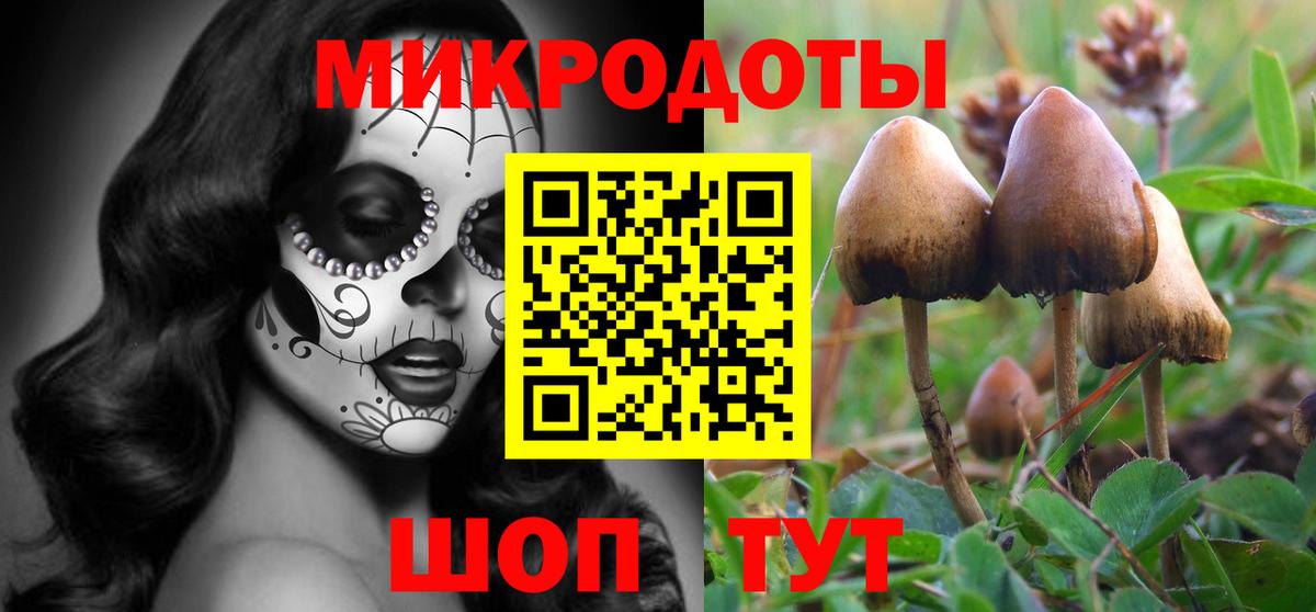 Галлюциногенные грибы ЛСД Чебоксары